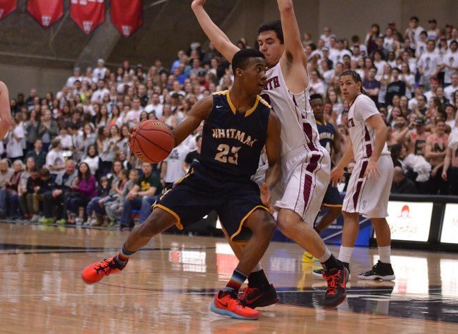 Viewpoint Basketball tweet media