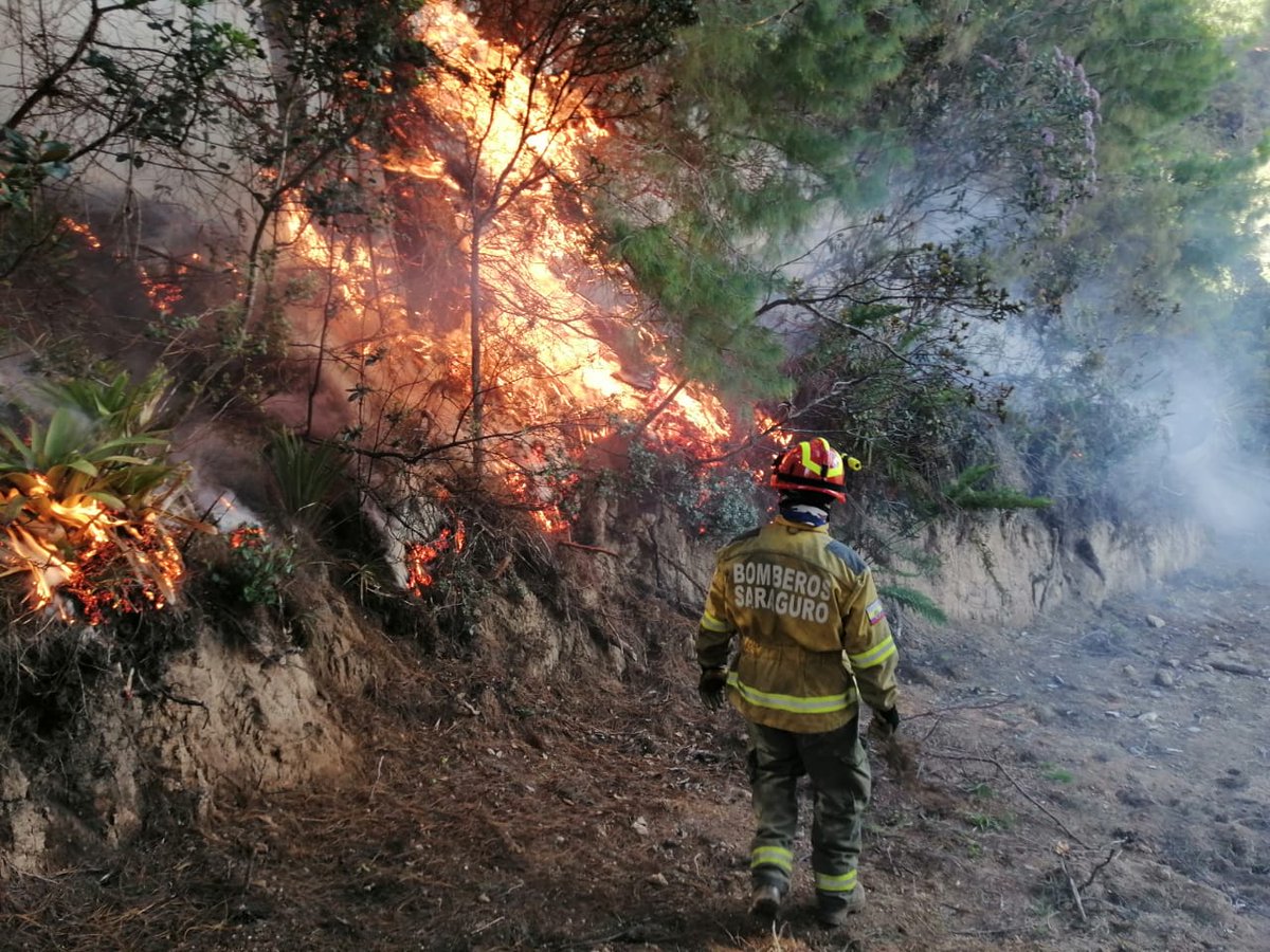 #yocuidomisbosques
📌🔥
Mediante activación del 911📞
Personal de 👨‍🚒👩‍🚒 de Bomberos Saraguro controla incendio forestal en la parroquia de Urdaneta, sector Billa Carreño área de afectación de 2 h. Aproximadamente destrucción de pinos y vegetación nativa. #denunciaal911 #Urdaneta