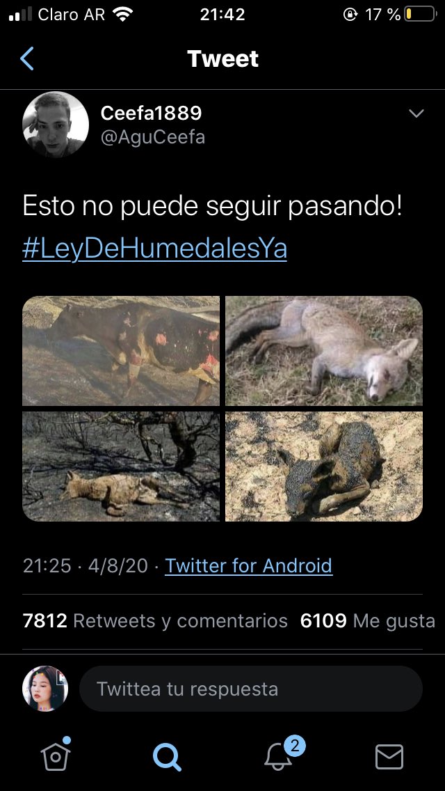 pazzseok's tweet photo. ahora q tengo su atención les informo que ARGENTINA SE ESTA QUEMANDO hace MESES y los medios no hablan de esto. https://t.co/PUVZNZYfdt