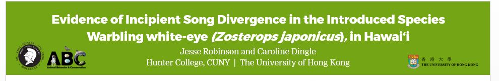 dr_dingle's tweet photo. Interested in the evolution of song in introduced species? Thursday at 17:10, Jesse Robinson of #dinglelab will be presenting his very cool study of song divergence in introduced populations of white-eyes in Hawaii (poster). #NAOC2020 https://t.co/Kr1hmVtdLl