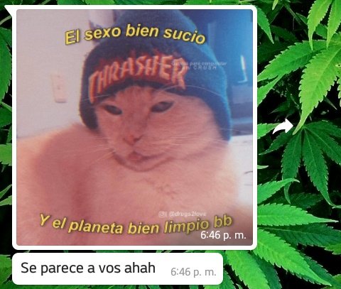 Josethdl1's tweet photo. Jajaja https://t.co/PeULY8wS6o