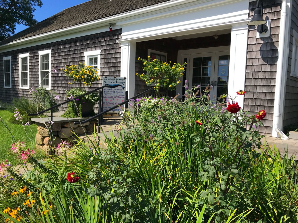 katieholten's tweet photo. On September 3rd I'll be chatting with the Chilmark Library about my book #AboutTrees and the living tree alphabets. Live at noon my time in CA, 3pm ET, 8pm GMT. Email Tracy for a free link: tthorpe@clamsnet.org https://t.co/UsjzX81moL