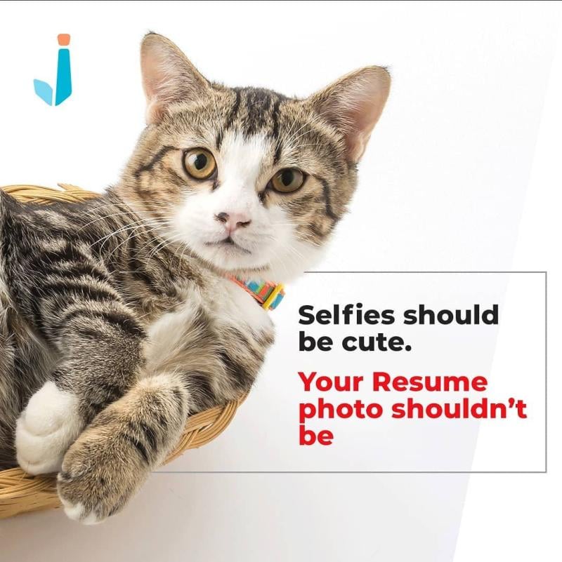 jobayancom's tweet photo. What should a Resume photo look like?

Include a photo that is professionally-taken, as it gives the right impression on what you look like to hiring managers.
Using selfie or informal photo will surely get your resume discarded.

- A friendly reminder from Jobayan Philippines https://t.co/oo2GqNd6vt