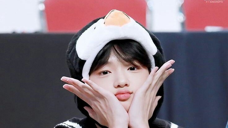 Piyo🐣 tweet media