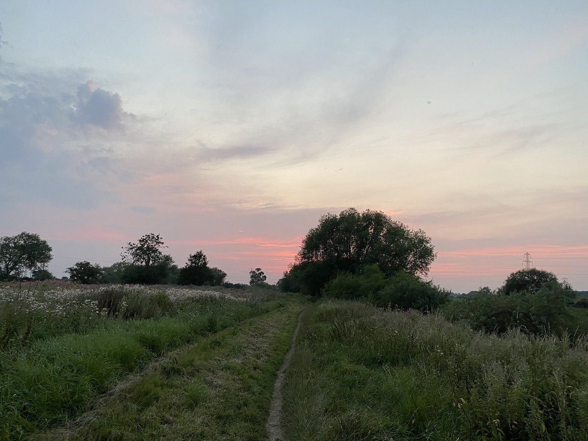 AbbieSBrooks's tweet image. I love where I live. And this bench. #happytochatbench