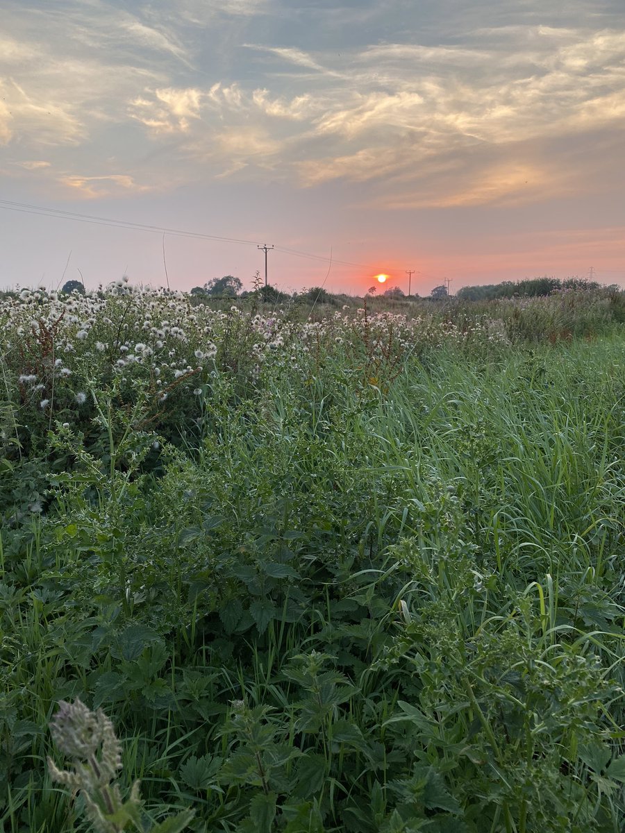 AbbieSBrooks's tweet image. I love where I live. And this bench. #happytochatbench