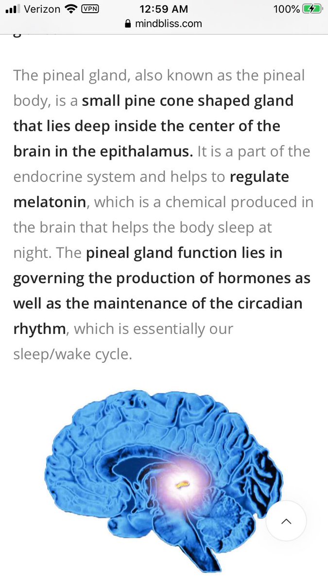 What does that represent? A conical (cone) shaped gland. It’s called the Pineal Gland. It is our Third Eye, given to us from our Creator. What does it do? It opens you up spiritually. It unlocks the power we were created to use, more fully. DIG. 4/