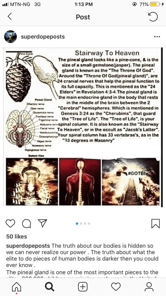 We’ve learned that the Elites drink adrenalized blood, eat flesh and the Pineal Gland. Pine (cone) & Apple. Pine~Apple. We know Eve partook of the Apple and then, Adam. At the insistence of The Serpent. (Satan) 5/