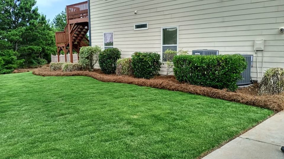 WINNPROTURF's tweet photo. WINN PRO TURF MANAGEMENT LLC
Professional Pine Straw Installation 
https://t.co/nosv0NIucm https://t.co/qLUG0v8Xkh