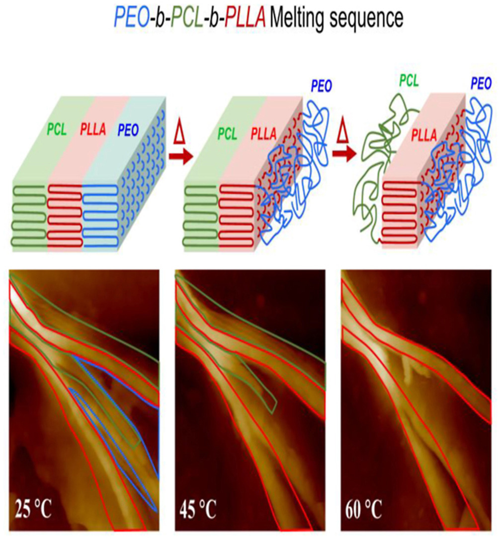 This link: authors.elsevier.com/a/1bZO9_l8CKTJY provides 50 days free access to our recent paper featuring beautiful tri-lamellar morphologies in triple crystalline and biodegradable PEO-b-PCL-b-PLLA triblock terpolymers. In situ AFM shows their sequential melting!