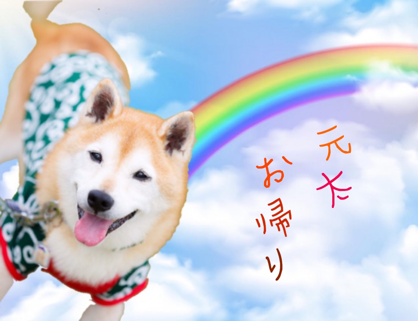 虹の橋より Twitter Search Twitter