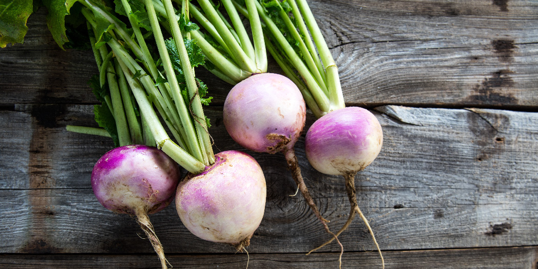 SquiresGC's tweet image. As well as lifting the roots, cut away the leaves of turnips and use them in your cooking. 

These are called turnip tops and can be cooked and eaten like spring greens or spinach. They are a great source of Vitamin A, and the tops have a sharp, spicy flavour. 

#gardencookbook