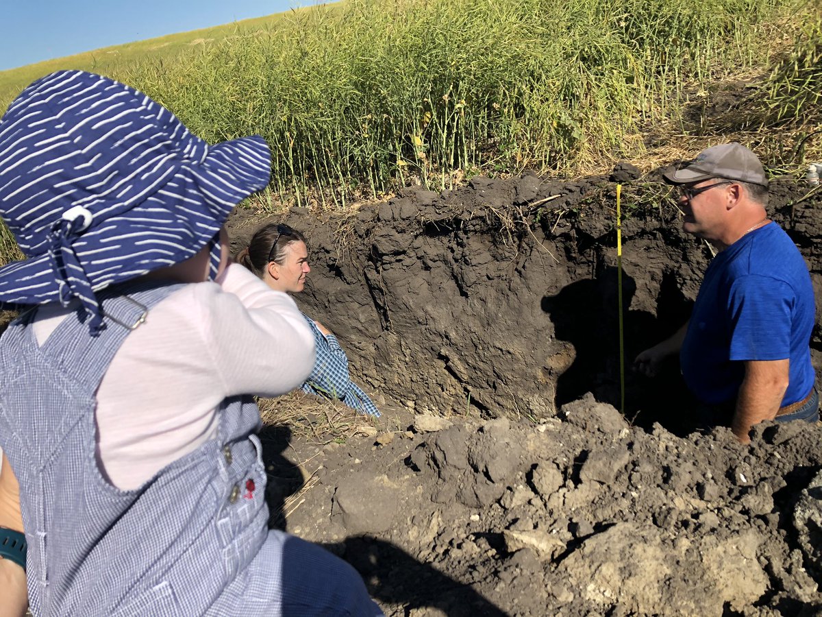 Never too young to get them in the pit classifying soil horizons....Margot was taking in all Curtis’ wisdom today at the MSSS field tour!