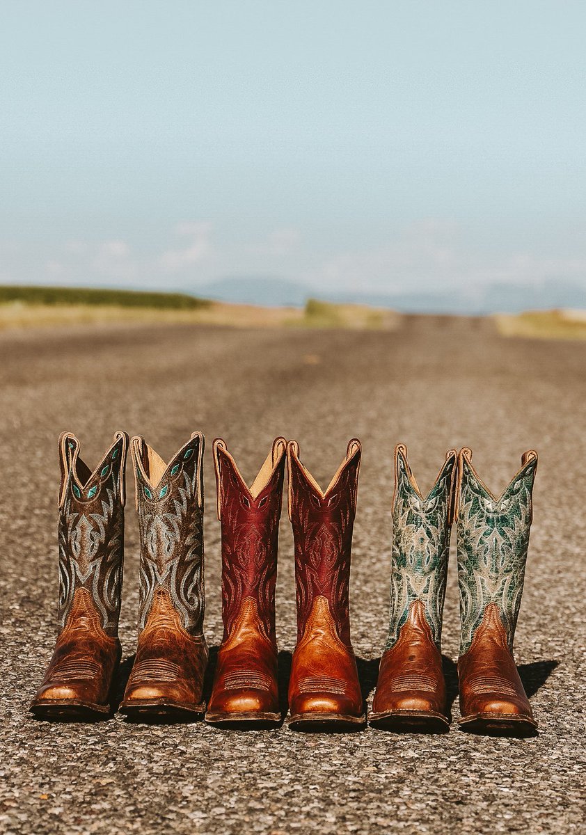 Idyllwind's tweet photo. Cowgirl approved ✔️ Built to ride, made to perform. #freetoroam #performanceboots #bootcam
Shop performance boots: https://t.co/1SvN6tll7T https://t.co/qd4wkzheLD