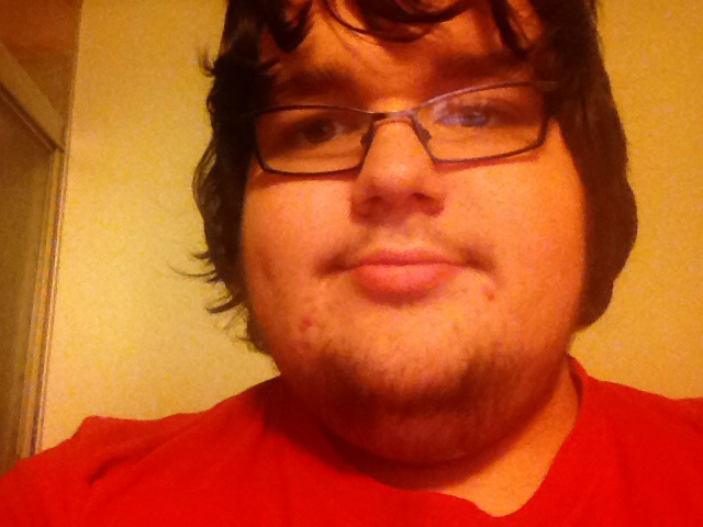 AO_Facts's tweet image. your favorite kitten is back