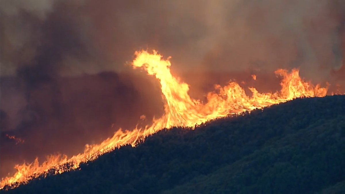 edgarrmcgregor's tweet image. Not enough attention is being given to the major #LakeFire in California. It's only 4 hours old, and 11,000+ acres are gone.

This could be a real ecological disaster for the Angeles Nat. Forest. This is an incredibly hot, climate change helped, leave-nothing-behind type inferno.