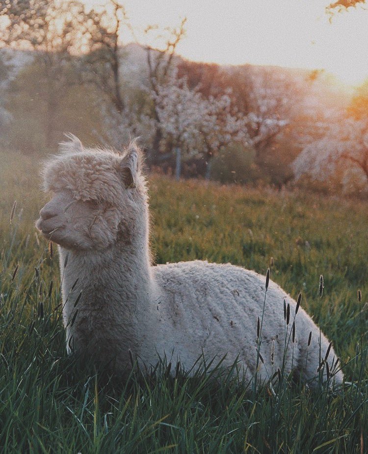 fourchette20's tweet image. 