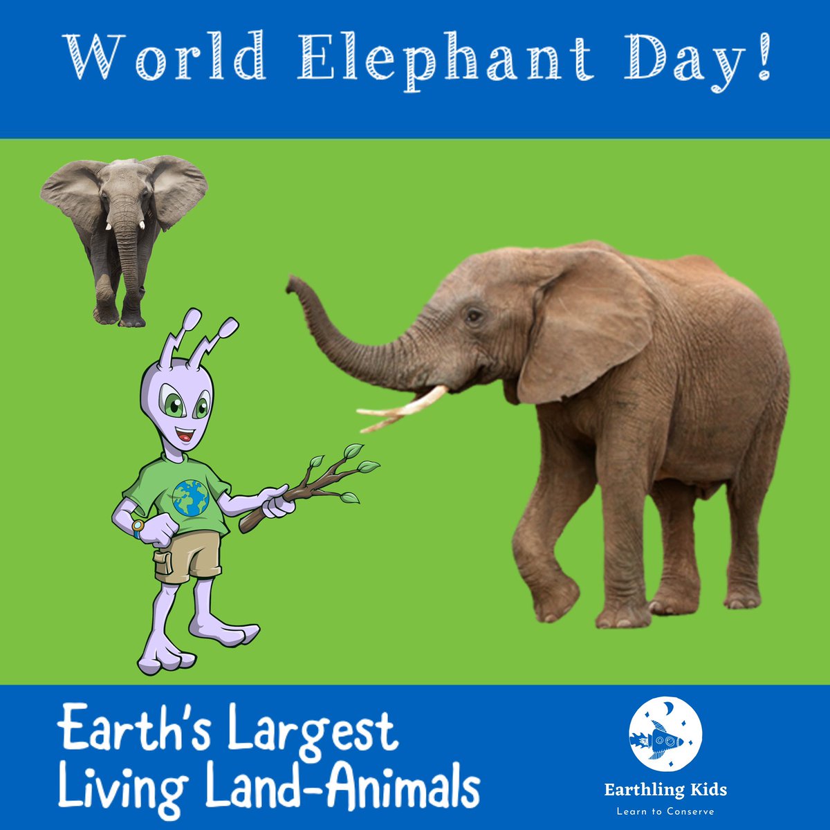 EarthlingK's tweet photo. Happy World Elephant Day from the Earthling Kids Team! Today we celebrate the preservation and protection of Earth's largest living land animals!

#earthlingkids #elephant #worldelephantday  #avanithealien #learntoconserve #preservation #protection #conservation https://t.co/9iMGdCmWur