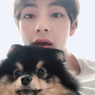 taehyung’s dog; yeotanyeotan is probably more famous than some celebrities. he’s so cute so i’m not surprised.