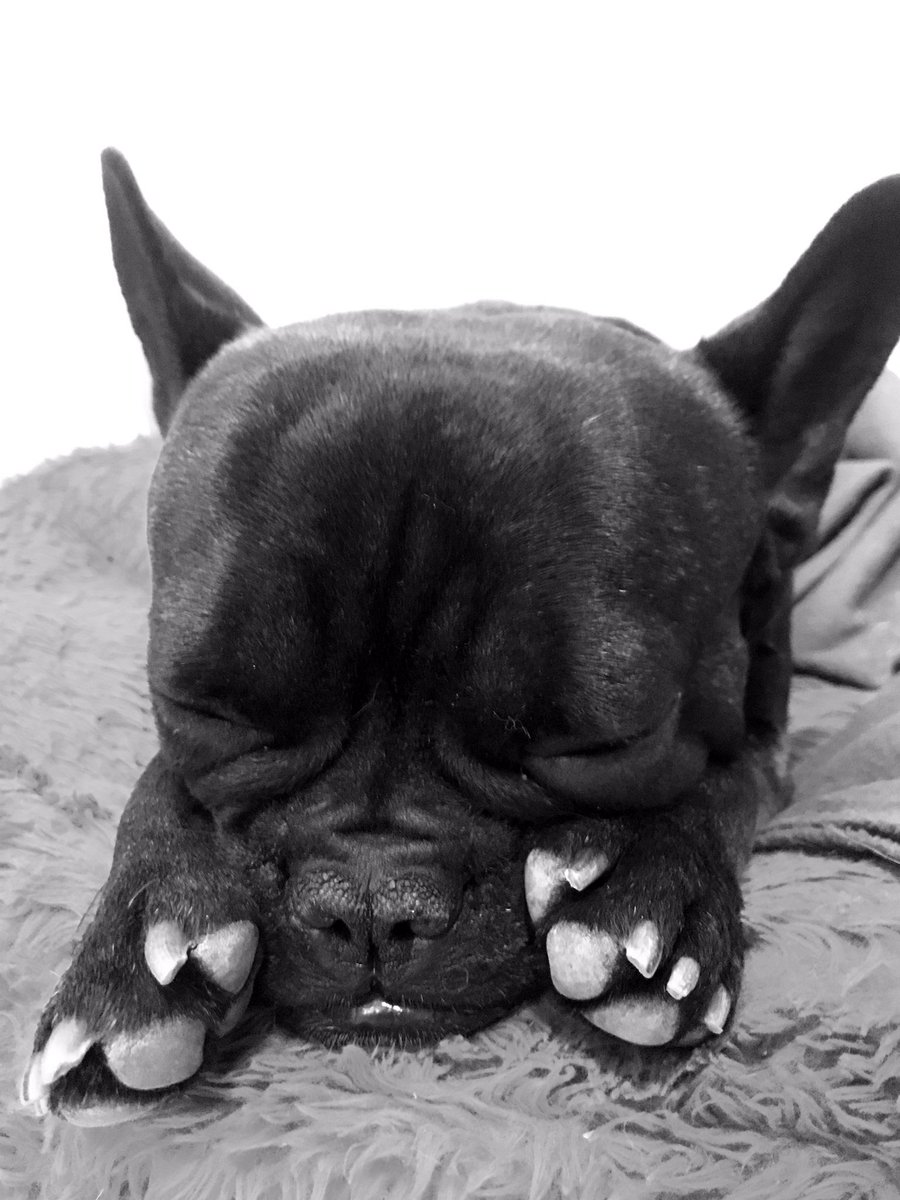 BUENAS NOCHES bai me mori de ternura  😍♥️