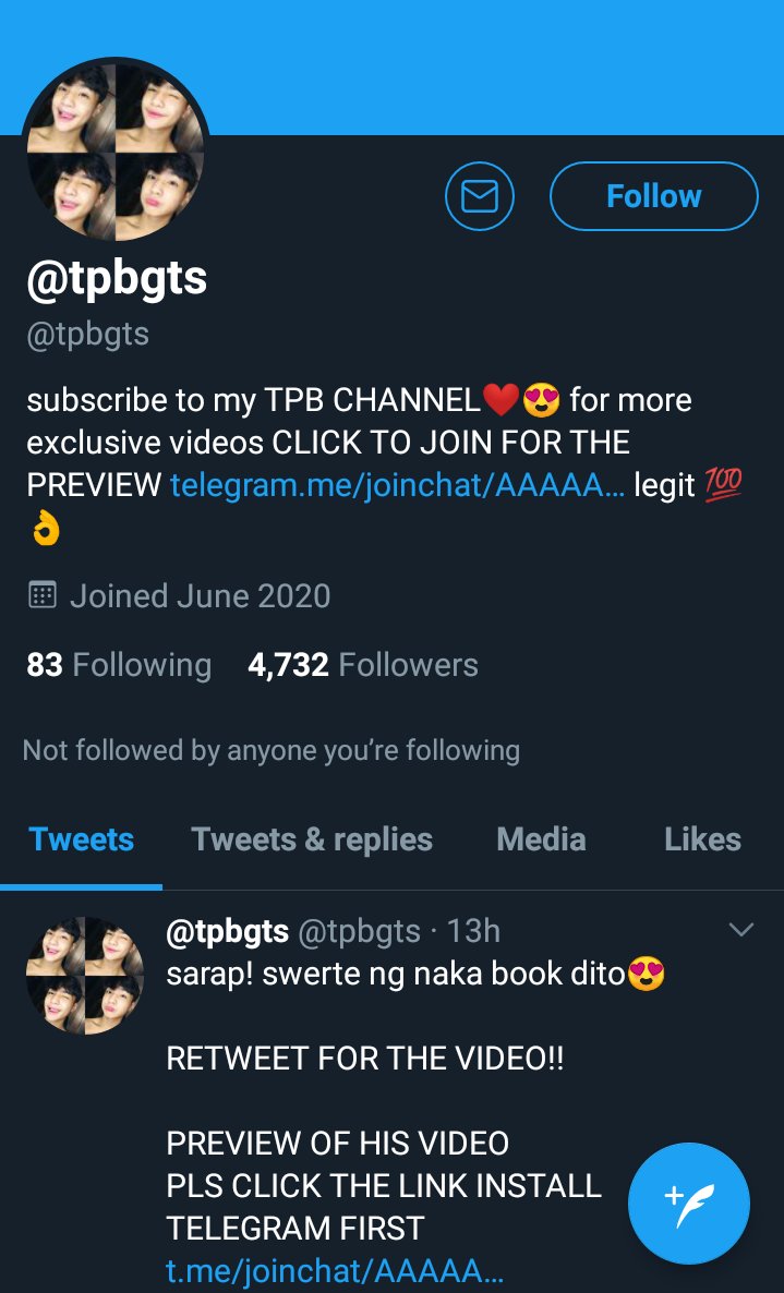Miggy on X: Have gone through the TG channel on tpbgts and its sickening  how there are videos and teasers for selling child porn! Reported it on TG  and will do on