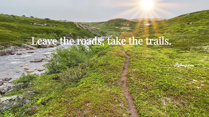 onLifeJourney1's tweet photo. https://t.co/iYX1HsixQb
There are numerous benefits of walking through #nature such as:
improves immunity and memory
reduces anxiety
helps battle colds and flu
makes you happy
speeds recovery time after sickness
#enjoytheoutdoors #connectwithearth https://t.co/Gh7syErwqa