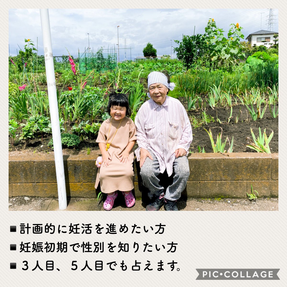 ひいおばあちゃんの産み分け占い屋さん おばあちゃんの 産み分け占い です 妊娠初期 の方も占えます 男女の生年月日 満年齢 妊娠したい 時期 兄弟がいる方はお子さんの性別と満年齢を教えて下さい リツイートしておばあちゃんに 運試しし