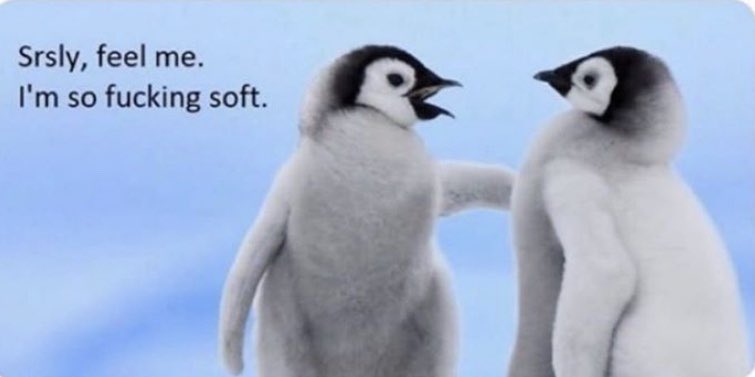 _gurlissues's tweet photo. Me after shaving my legs https://t.co/6kBesVrrY0