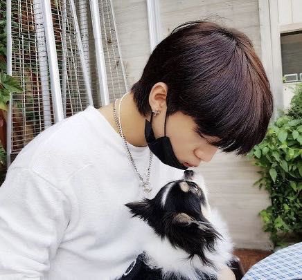 hyunjin’s dog: kkamiyes, I would love to steal kkami. kkami is the most precious thing on this earth at the moment. it’s so small and fluffy