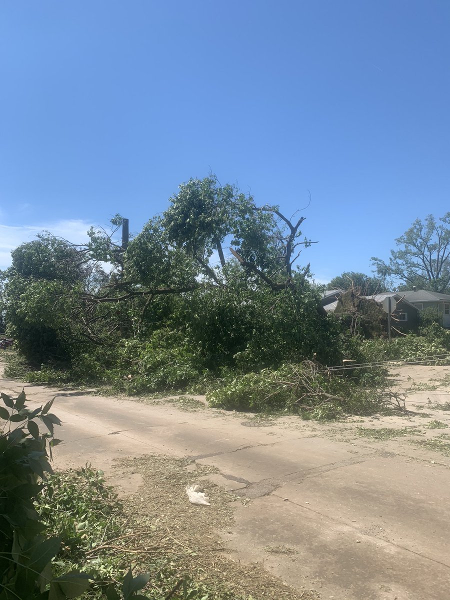 Cheyanne Silver MD tweet media