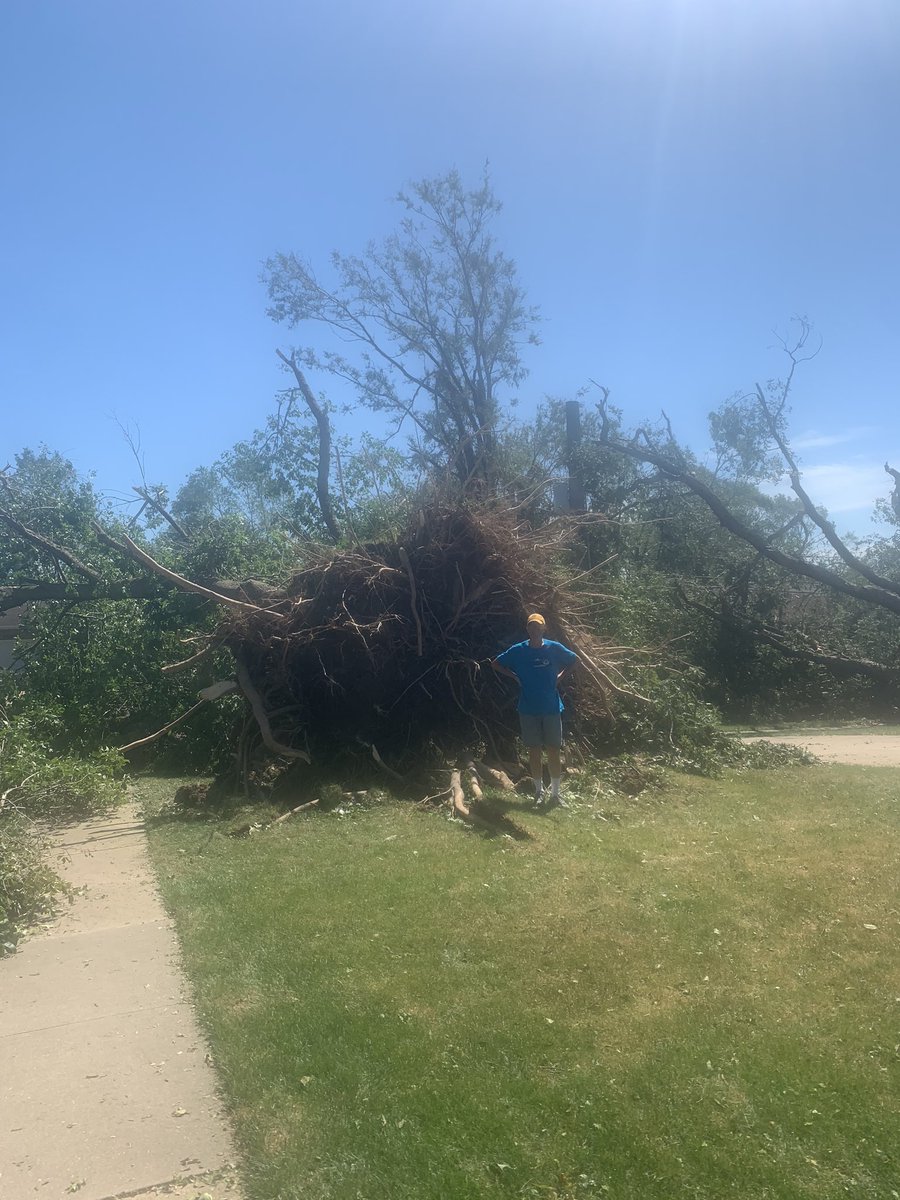 Cheyanne Silver MD tweet media