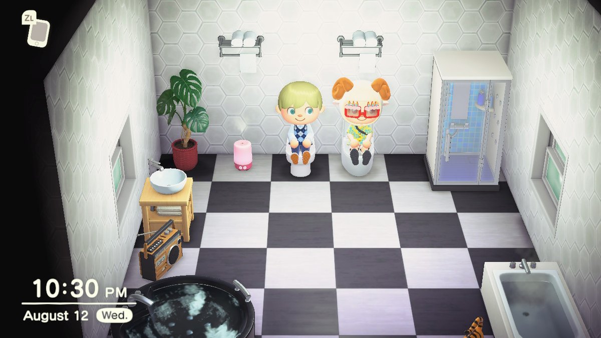 retropowerup's tweet photo. Best bathroom buddies! #AnimalCrossing #ACNH #NintendoSwitch https://t.co/2T2ZuZCJd2
