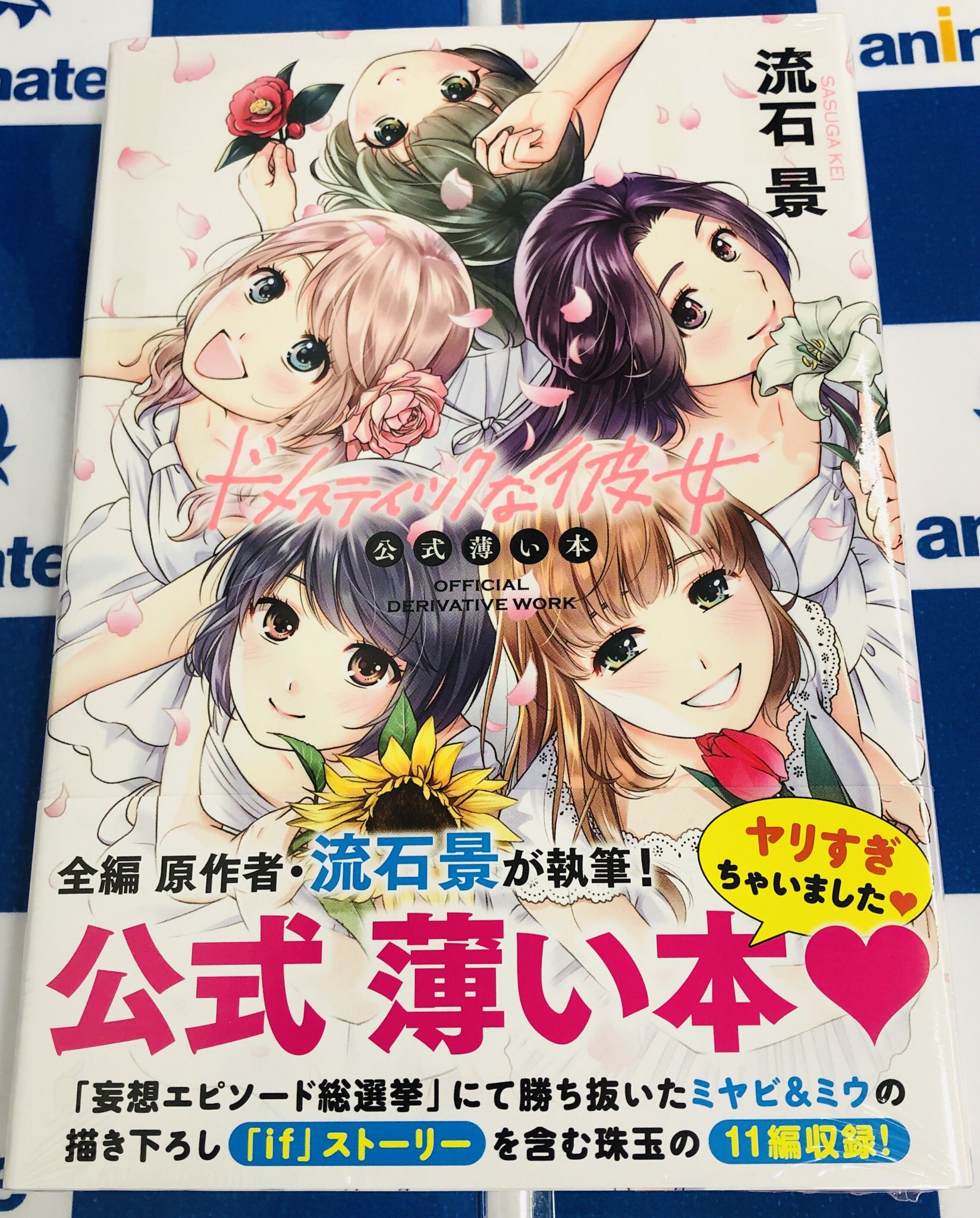 ドメスティックな彼女 全然 公式薄い本 - 全巻セット ドメスティックな彼女 全然 公式薄い本 - 全巻セット
