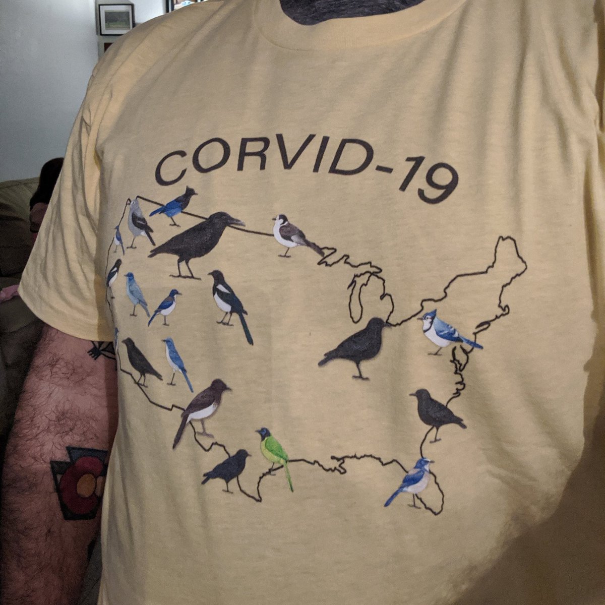 steve626's tweet photo. I designed a silly shirt for bird nerds. 

#birds #birding #birdtwitter #corvid19 https://t.co/yJOQeoVTbo