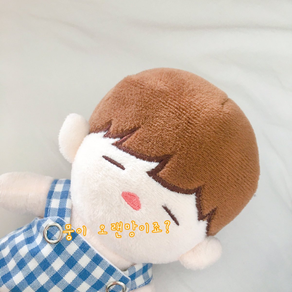 뭉이는 펭수품에❤️
뭉이 오랜만이야아~~🥰

#짼뭉이 #김재환인형