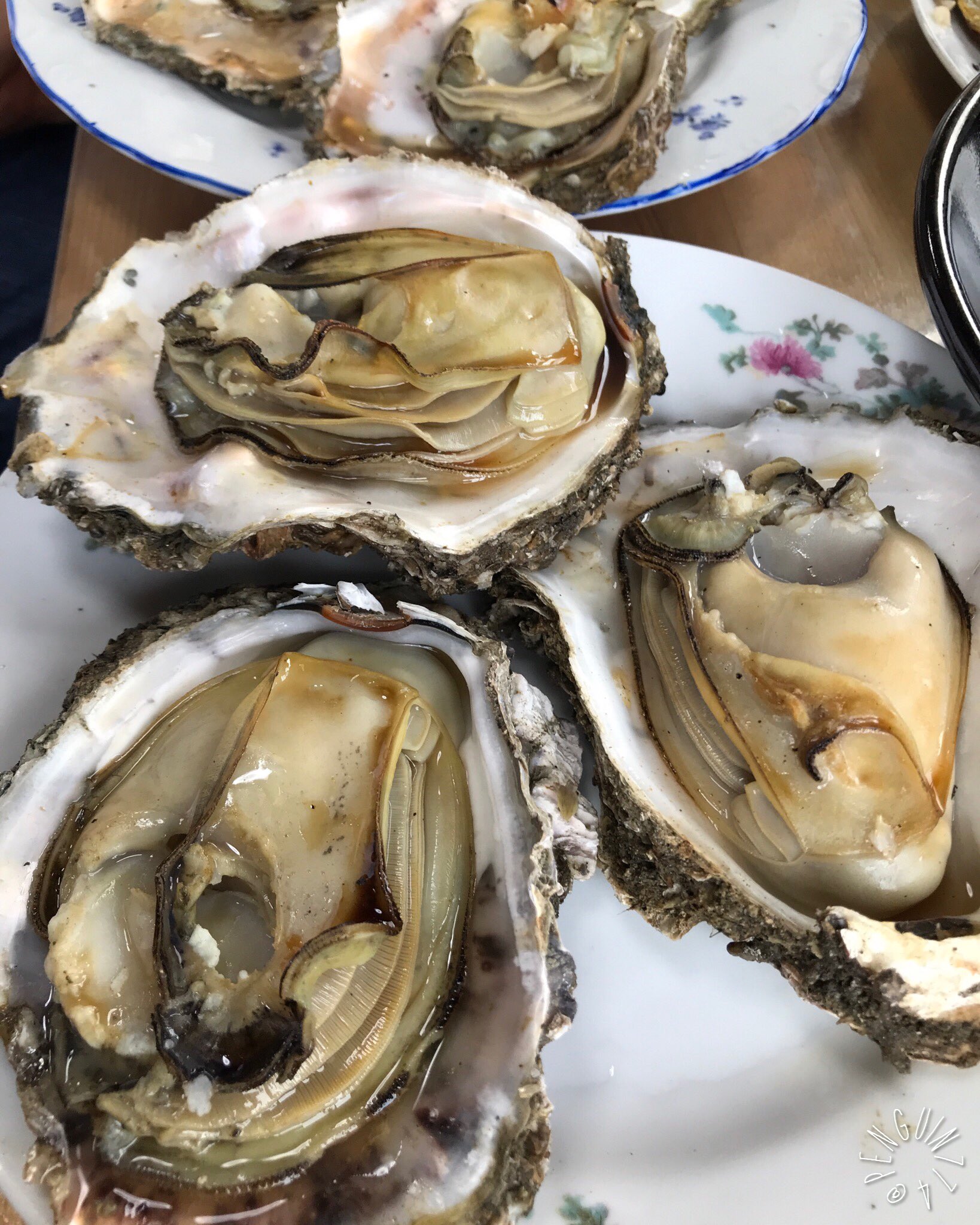 千葉県銚子市 Twitter Search Twitter