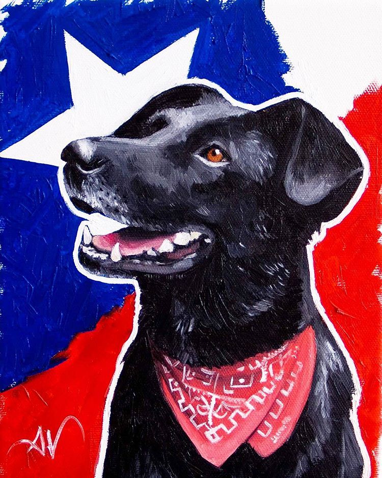 max_hunter16's tweet image. #afpmodelocl hago una convocatoria si no depositan durante la madrugada.... todos mañana a la sucursal #amunategui #santiagocentro para hacer cagar y demostrar el malestar del pueblo por ineficientes y ladrones