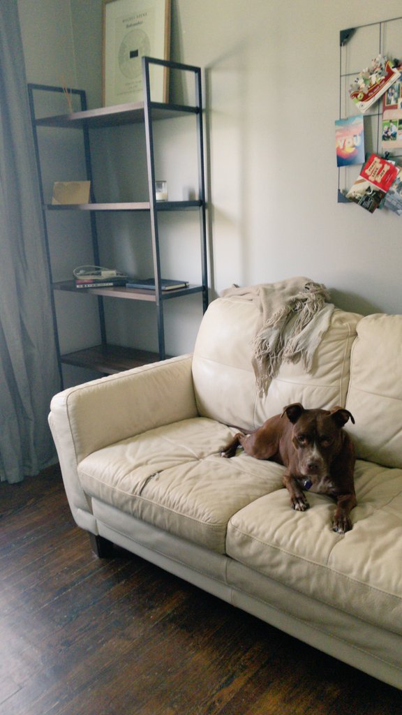 keframpton's tweet photo. Because Apollo is concerned. https://t.co/dqbLDztfXO