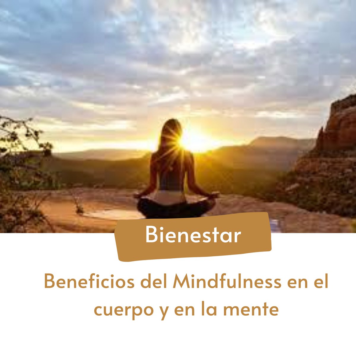 SALUD_SB's tweet photo. 🧠👀¿Sabías que el Mindfulness otorga beneficios muy potentes en la salud física como mental? Te detallamos toda la información aquí: https://t.co/THpDdQWFHG 
.
.
. 
#saludmental #saludmental #saludybienestar #Psicología #mindfullness https://t.co/97aAQQ98VH