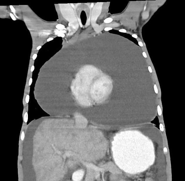 Radiology Signs tweet media