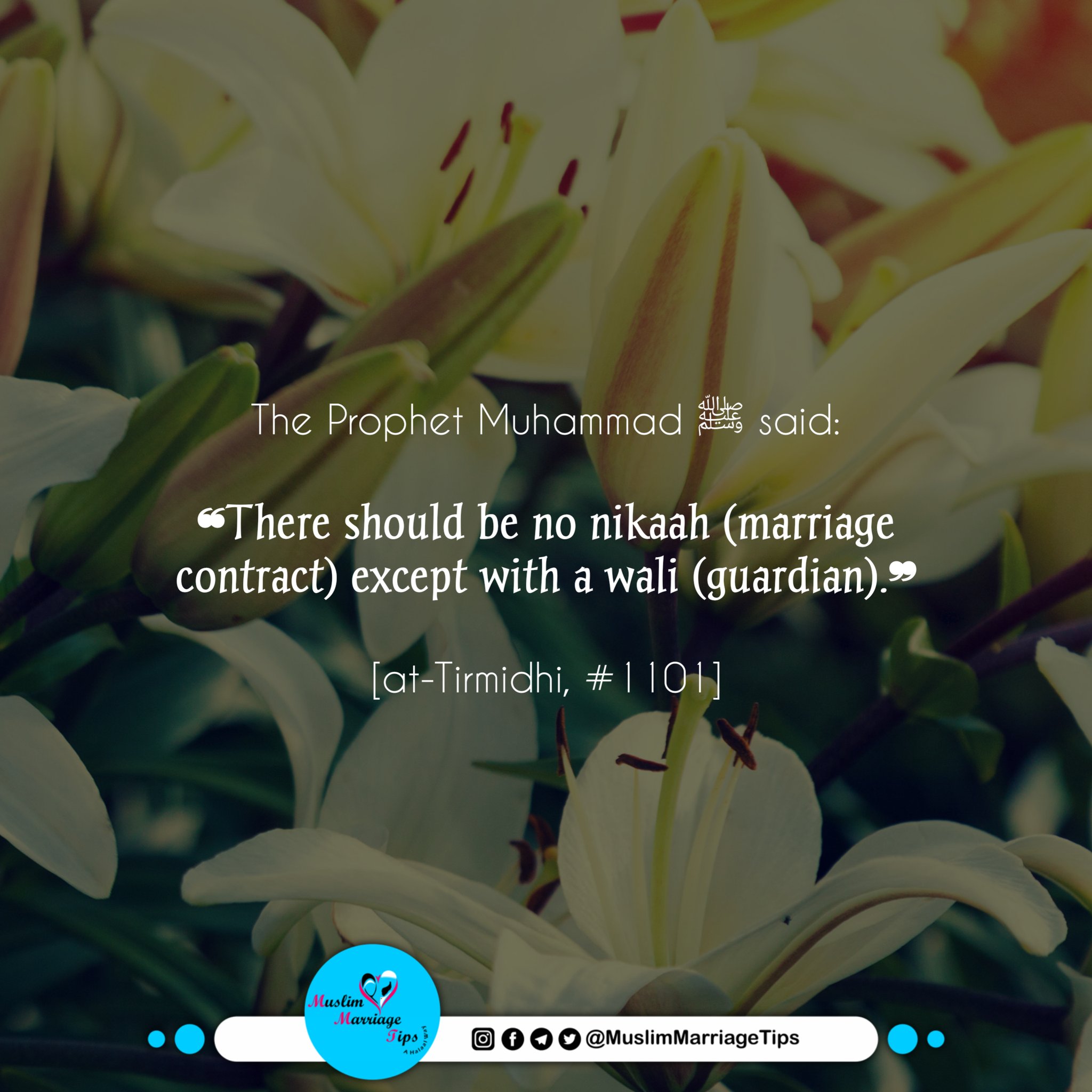 Marriage tips in islam