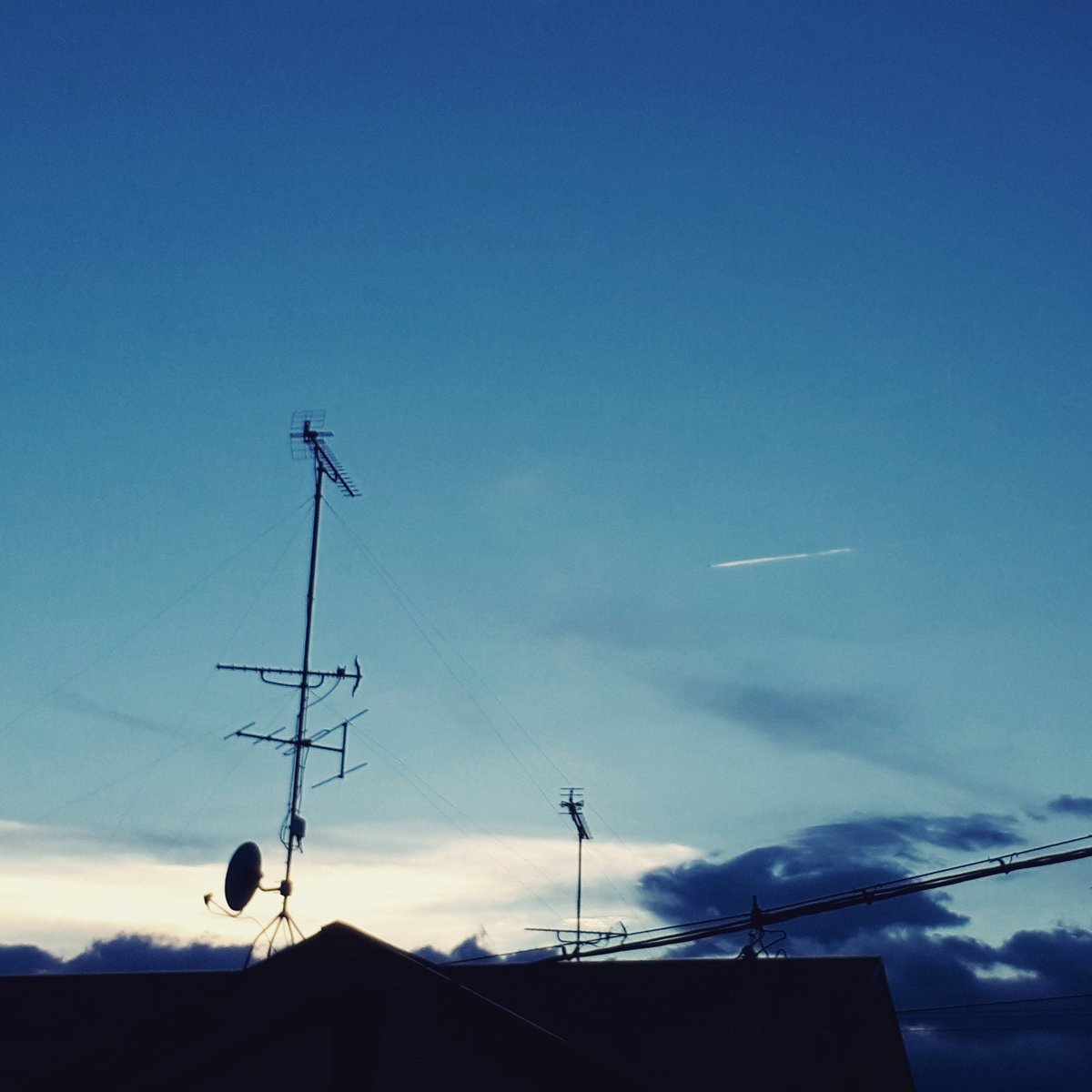 ko_mori4 tweet media