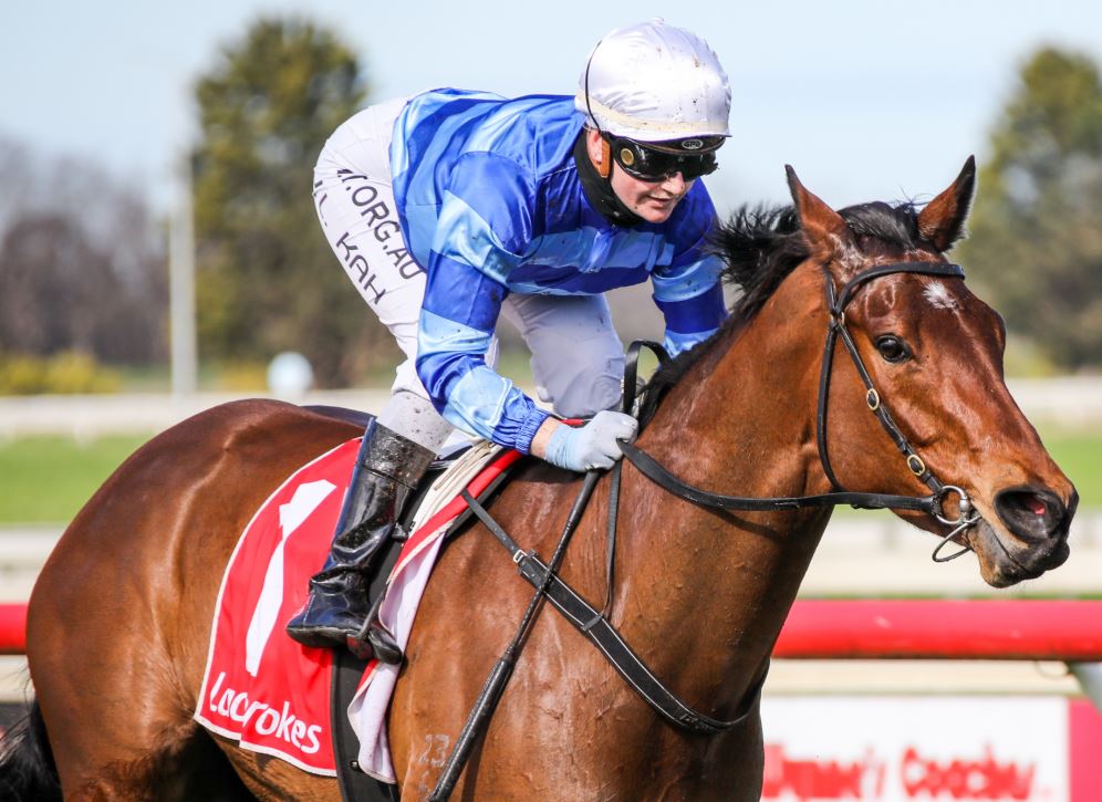 superracing's tweet photo. 🏇🤑 | Who got the #Barocha text?
Racing's worst kept secret delivers after almighty plunge. Well done @Dougie_5 and @jamieleekah07 - and all the punters who got on: https://t.co/WNryJEI1wB @saleturfclub @LeoSchlink https://t.co/kCGpSdrlsa