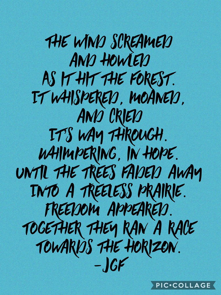 Practice makes perfect...I’m trying to write the sound of the wind through the trees I hear in my backyard...didn’t feel like I got it but every written word helps me improve I find. 
#poetry #amwriting #WritersCafe #WritersCommunity