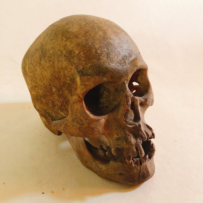 頭蓋骨のtwitterイラスト検索結果 古い順