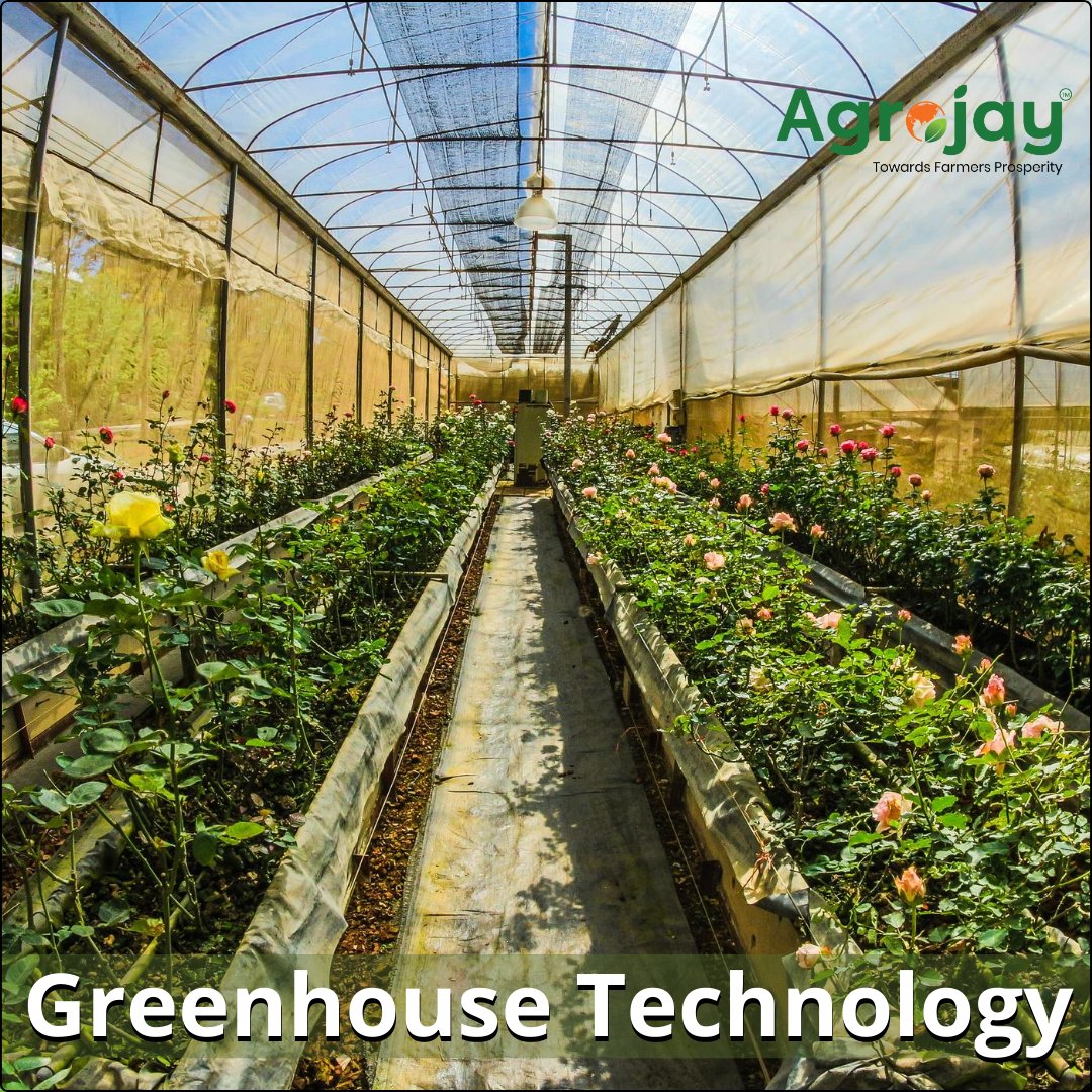 Agrojay_'s tweet photo. https://t.co/4JAw6gsIWX
ADVANCED GREENHOUSE TECHNOLOGY
Today, smart frameworks are empowering greenhouses to develop crops quicker, more productively more reasonably, and in pretty much every outside condition.
@nashik_feed
#AgricultureTAResult #agriculture #agrojay #digitalart https://t.co/Pd2WPoQxdd