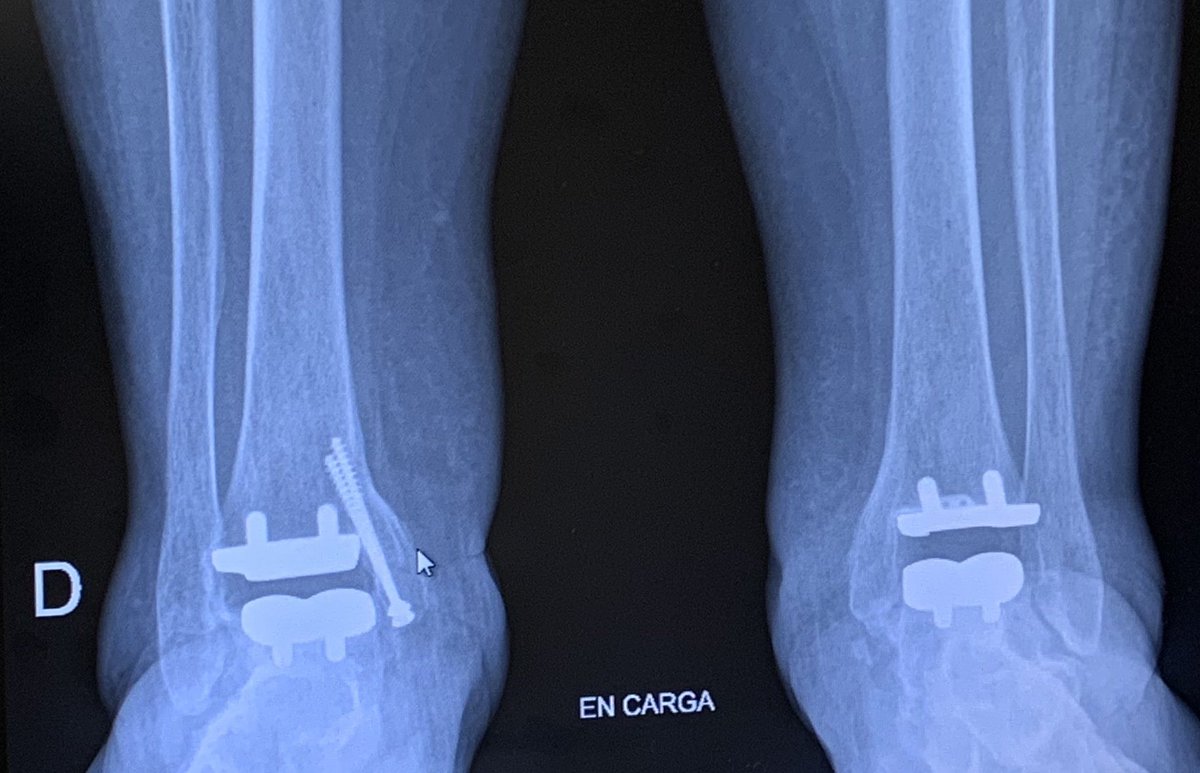 Dr. Enrique Navarrete tweet media