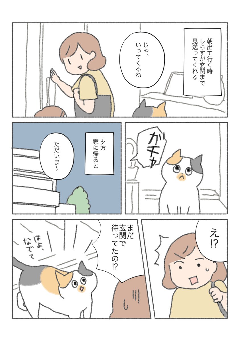 三毛猫しらす漫画

人間がいない時間の猫ってなにしてんだろ… 