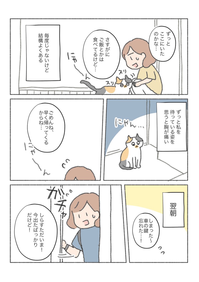 三毛猫しらす漫画

人間がいない時間の猫ってなにしてんだろ… 