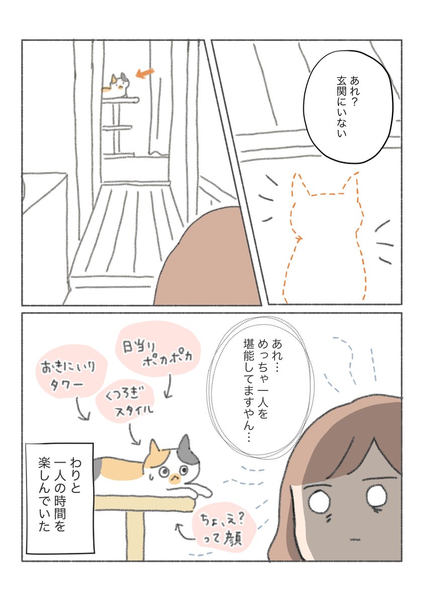 三毛猫しらす漫画

人間がいない時間の猫ってなにしてんだろ… 